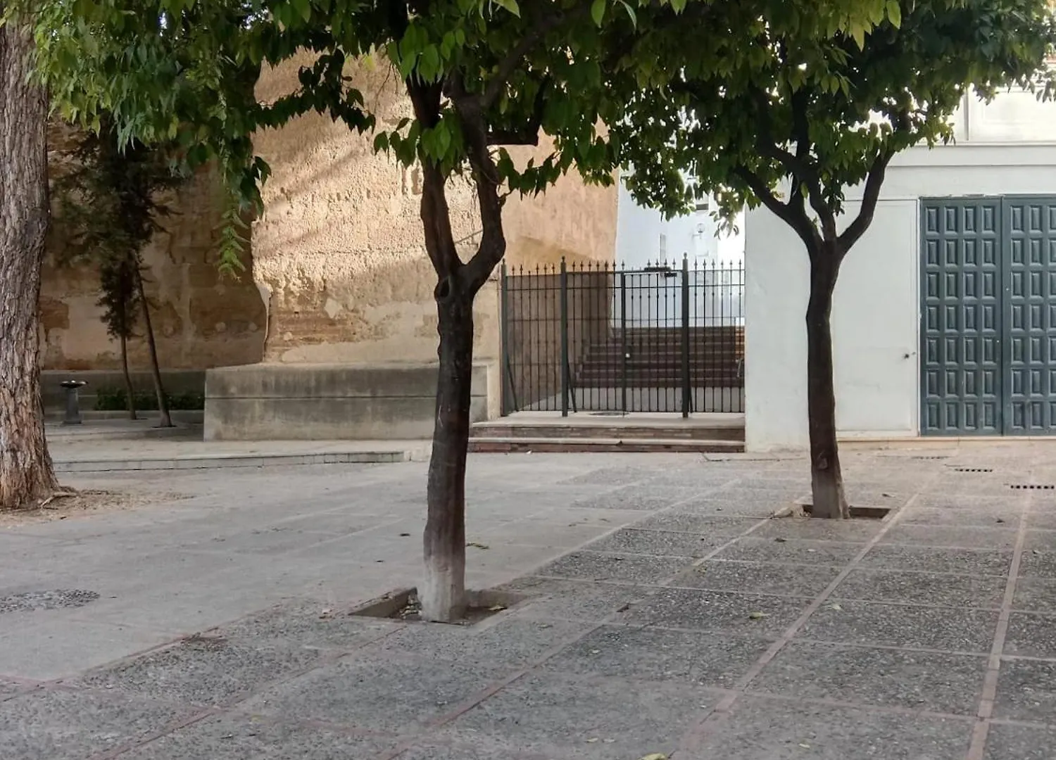 Casa Mnuela - Centro Jerez - Parking Opcional Apartment Jerez de la Frontera Spain